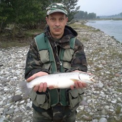 marmorate ibridi 2016 06