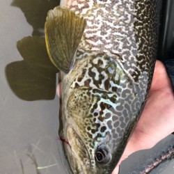 IMG-20190623-WA0014