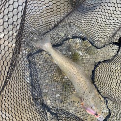 IMG-20190623-WA0018